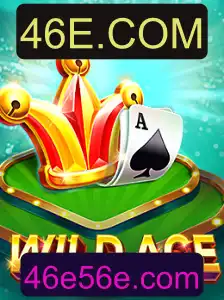 Mergulhe no Universo de WildAce: O Jogo do Momento